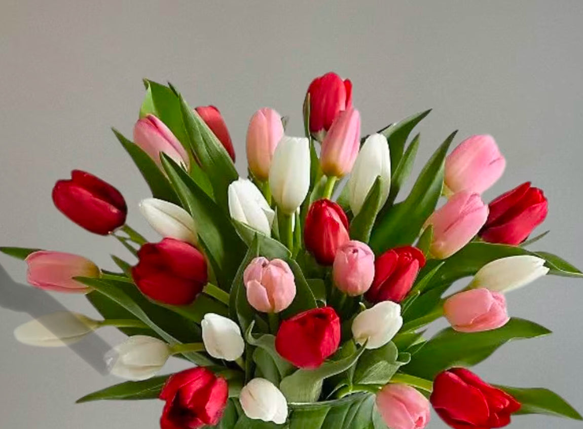 Valentines tulip bouquet